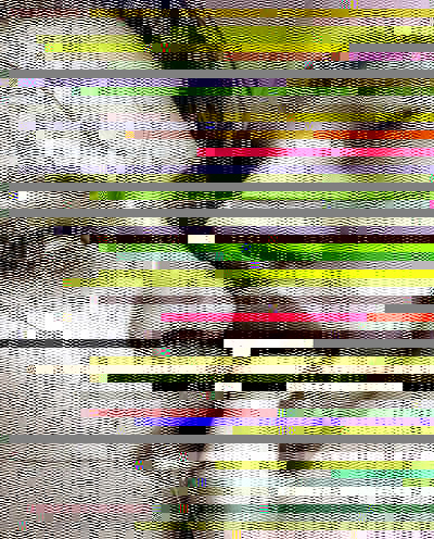 various glitch works [2005-2011]
